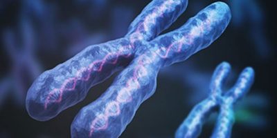 سیتوژنتیک گیاهی